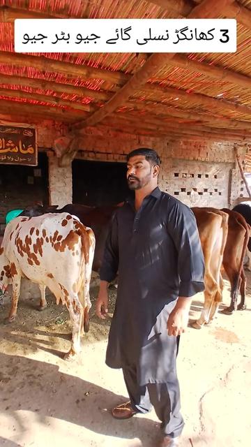 @Farming and Business Ideas