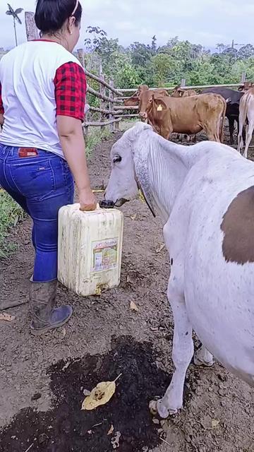@Maydita Alcivar Vera