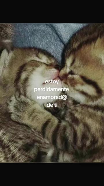 @cris ❄️