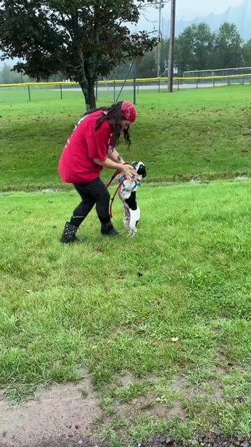 @Barking Mad Animal Refuge