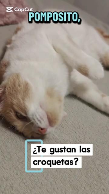 @enGatadas
