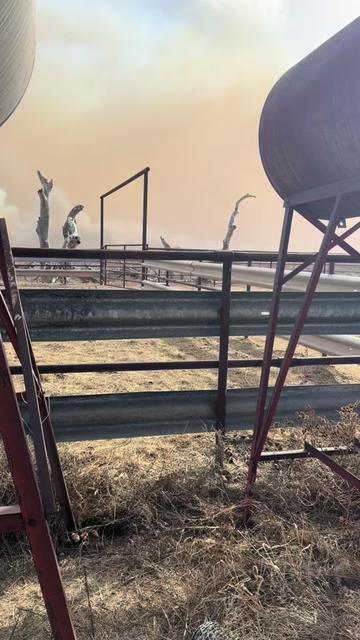 @McKinneyLandCattle
