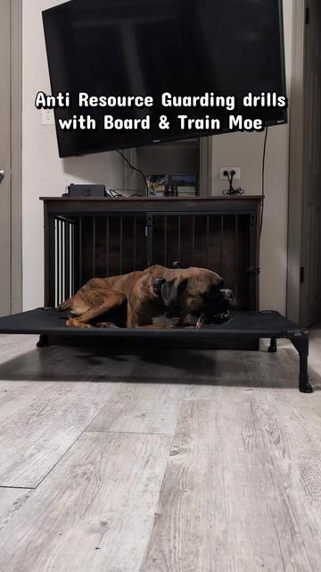 @Kavik.K9