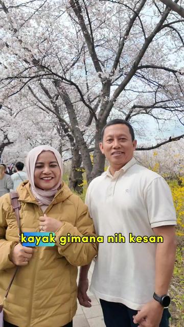 @Harvest Holiday
