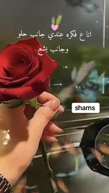@Shams