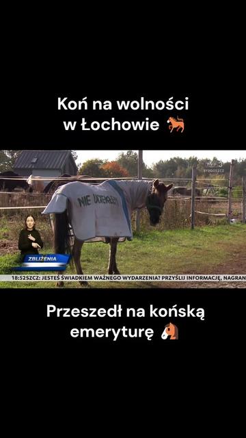 @TVP3 BYDGOSZCZ