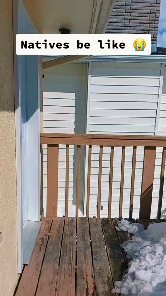 @N8tivedad2.0