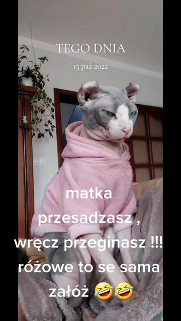 @Animal merwige fci