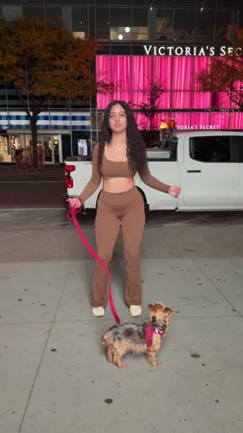 @jadelidamelio
