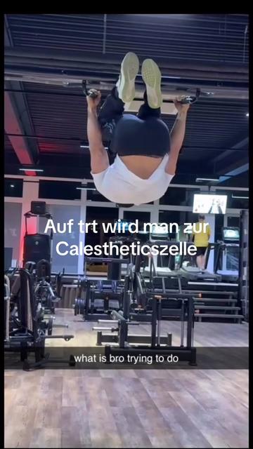 @trenlex24