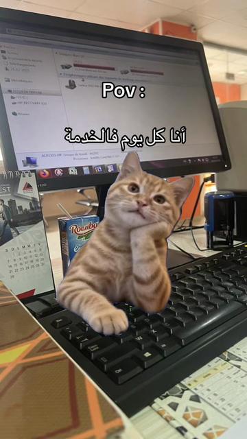 @๐ฉท