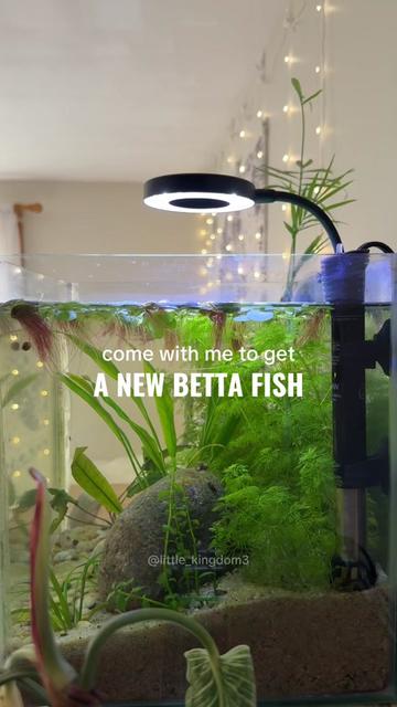 @Ashlyn | Pet Care