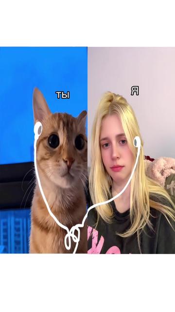 @Nastenka Kosh