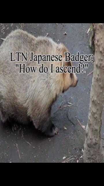 @monkeyspaw