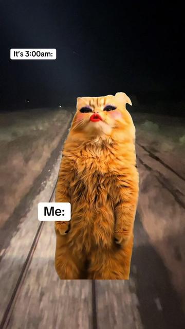 @ThatTrainOne