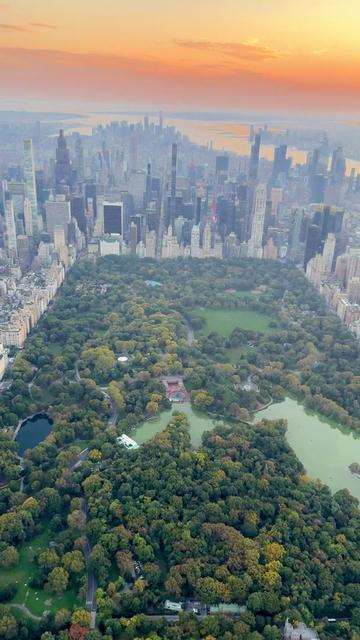 @FlyNYON