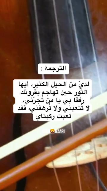@ⵣ ACHRAF ⵣ 🇮🇹🇲🇦