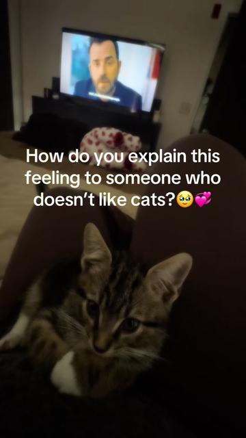 @Taka