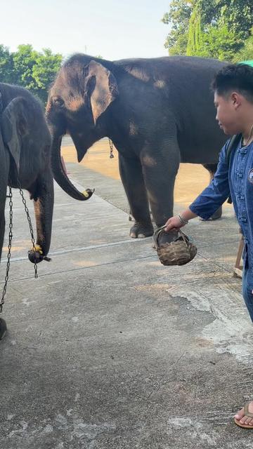 @Qvy Boonchanawiwat