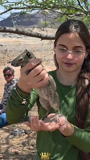 @Princesa das Serpentes
