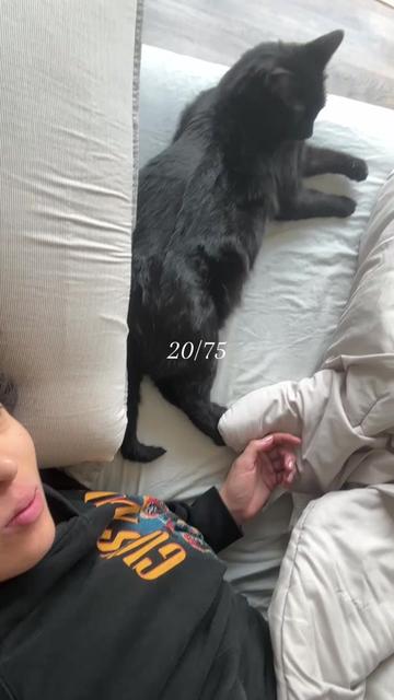 @Juanita ✴️