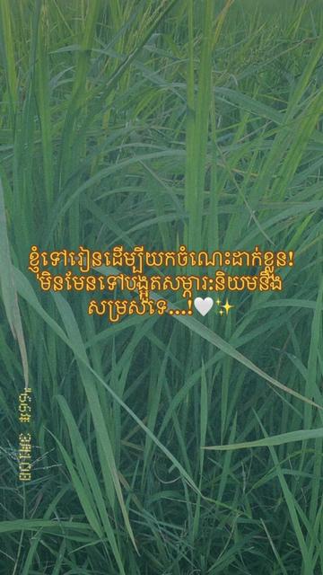 @កញ្ចនា កាលីប💗.