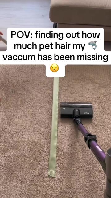 @Shed Sweeper