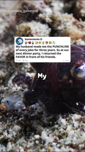 @Reddit Videos