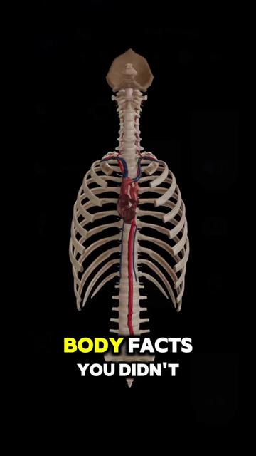 @Human Facts