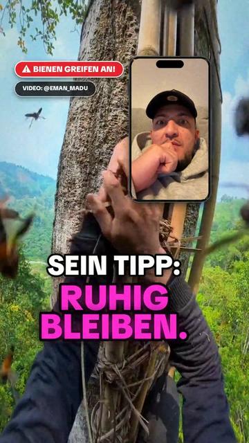 @dertippgeber_official