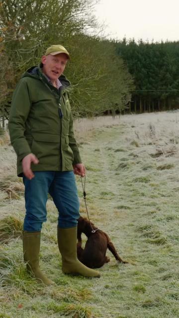 @Mordor Gundogs