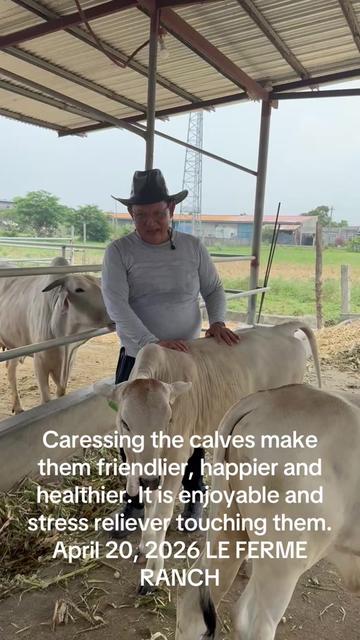@ATTY. RAUL &ldquo;Kabaka&rdquo; LAMBINO