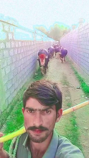 @ASAD Sarkar123