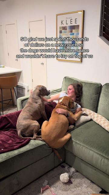 @Abby KPA-CTP | Dog Trainer
