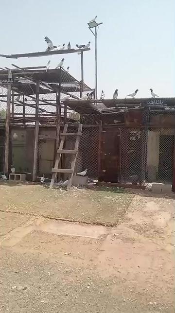 @Gourav Kumar
