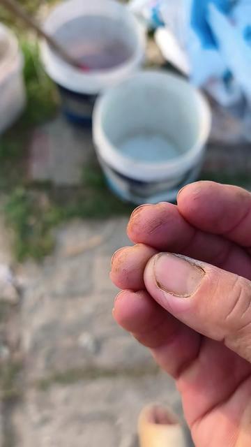 @C&aacute; Chuối Hoa