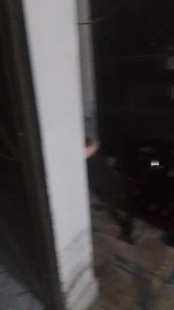 @Bushra786
