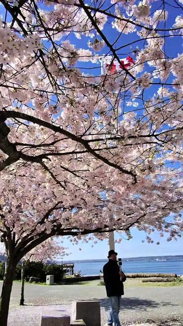 @Enjoy Vancouver|Travel & Media