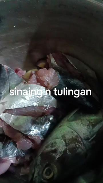 @lyn lyn