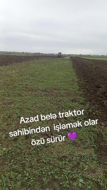 @Traktor_Aləmi