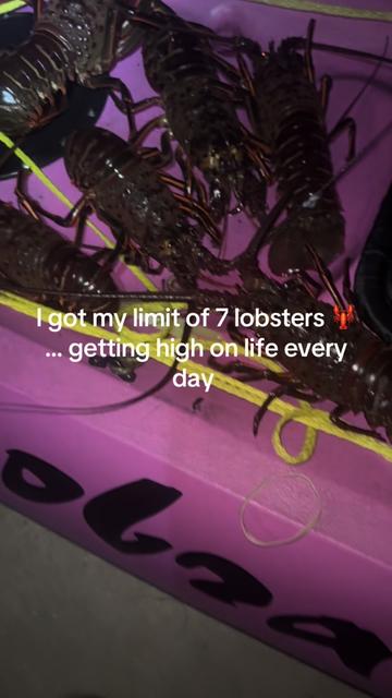 @Scoobs_fishing