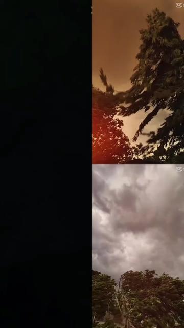 @🕊️.⋆کلمدم کشمیری.⋆👸
