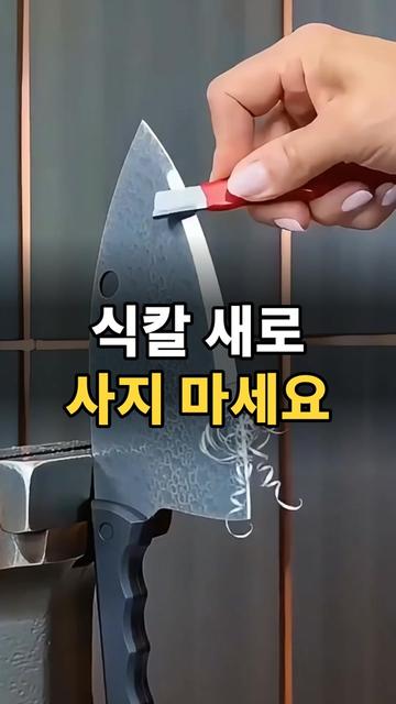 @리키백커