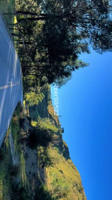 @paracetamol30822