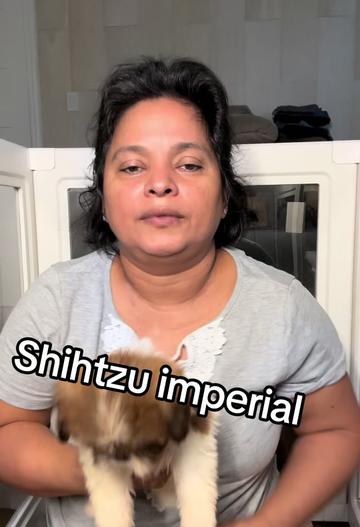 @Brenda Munoz