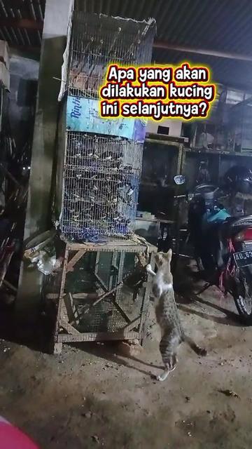 @warung grosir jogja online