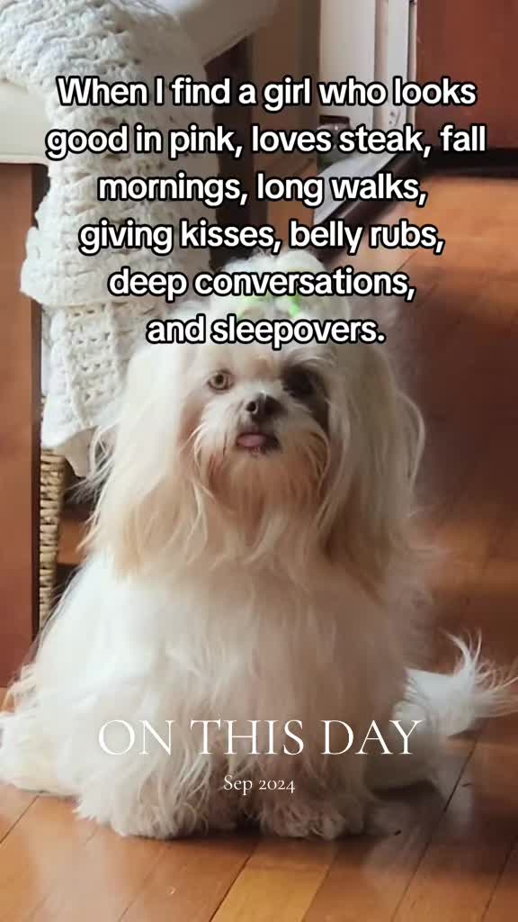 @Little Miss Mollie