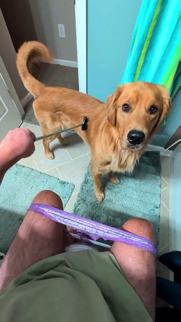 @Diarrhea Support Dog Training