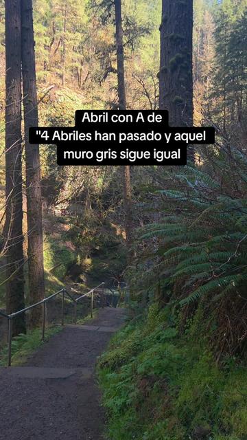 @vega🚶♂️🚶🏕