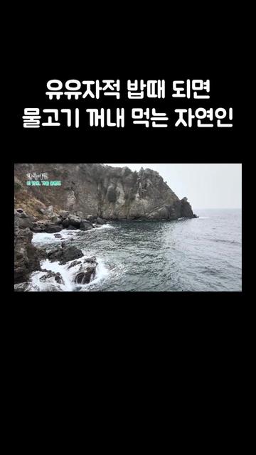 @EBS 다큐